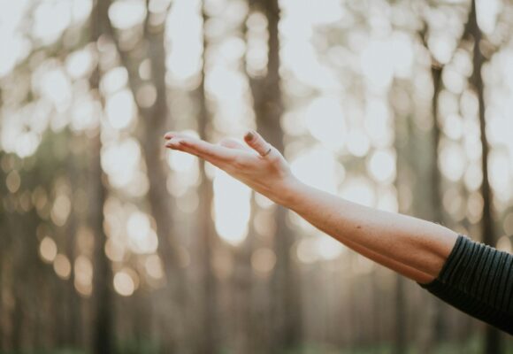 Hatha Yoga